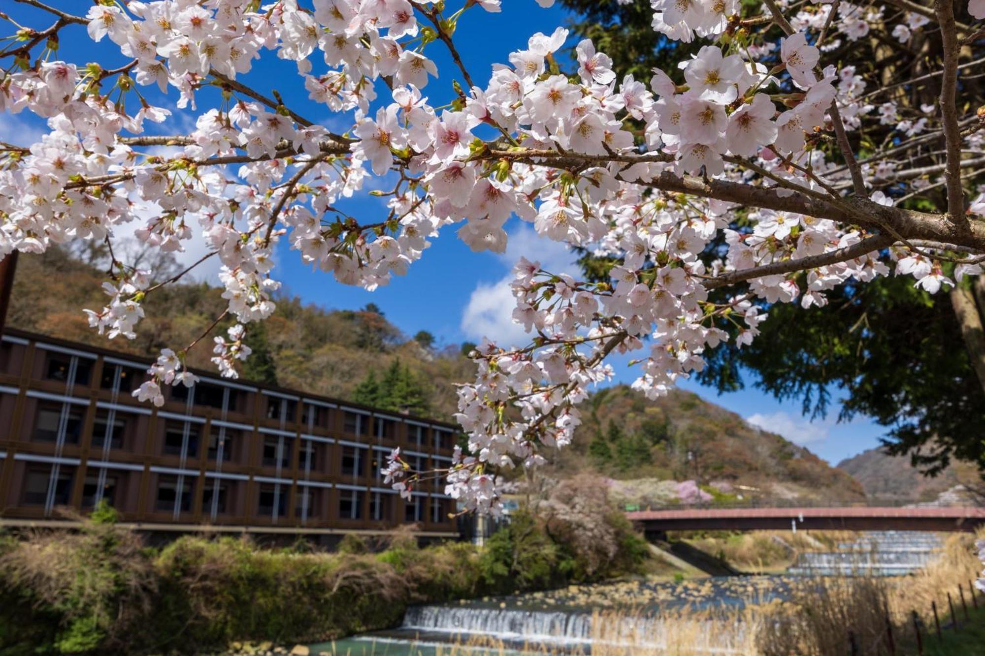 Hotel Indigo Hakone Gora By Ihg Eksteriør bilde